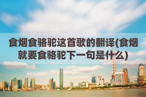 食烟食骆驼这首歌的翻译(食烟就要食骆驼下一句是什么)