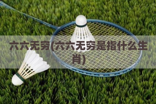 六六无穷(六六无穷是指什么生肖)