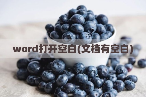 word打开空白(文档有空白)