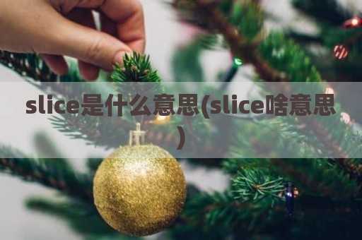 slice是什么意思(slice啥意思)