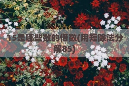 15是哪些数的倍数(用短除法分解85)