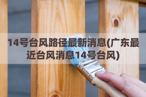 14号台风路径最新消息(广东最近台风消息14号台风)