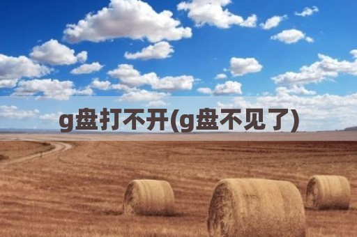 g盘打不开(g盘不见了)