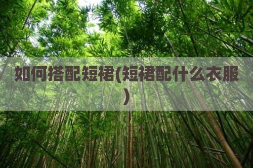 如何搭配短裙(短裙配什么衣服)