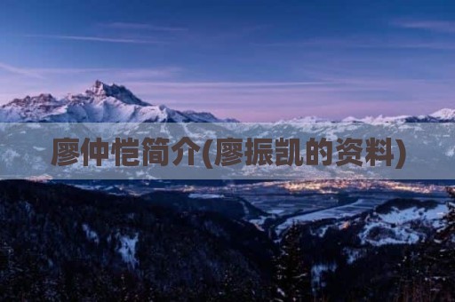 廖仲恺简介(廖振凯的资料)
