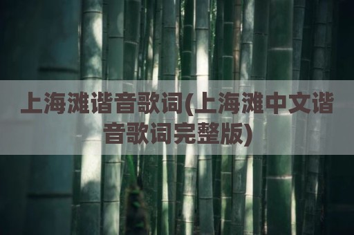 上海滩谐音歌词(上海滩中文谐音歌词完整版)