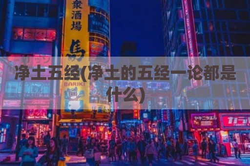 净土五经(净土的五经一论都是什么)