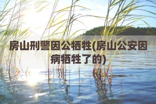 房山刑警因公牺牲(房山公安因病牺牲了的)