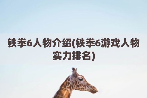 铁拳6人物介绍(铁拳6游戏人物实力排名)
