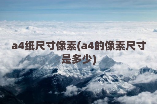 a4纸尺寸像素(a4的像素尺寸是多少)