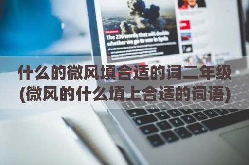什么的微风填合适的词二年级(微风的什么填上合适的词语)