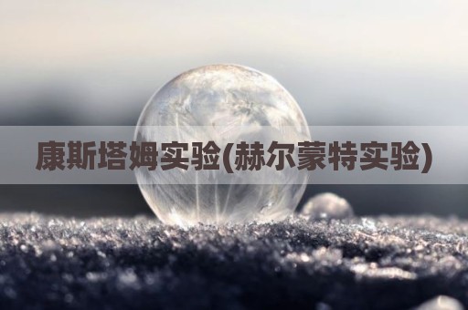 康斯塔姆实验(赫尔蒙特实验)