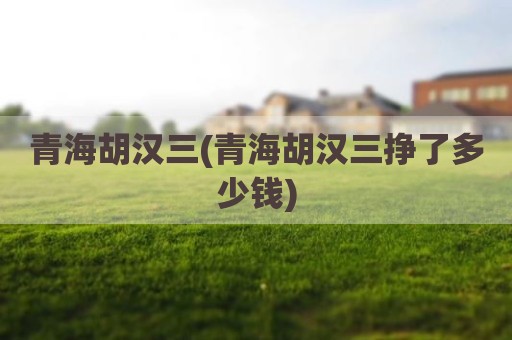 青海胡汉三(青海胡汉三挣了多少钱)