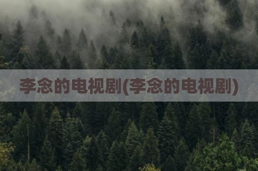 李念的电视剧(李念的电视剧)