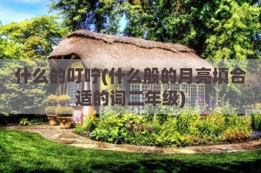 什么的叮咛(什么般的月亮填合适的词二年级)