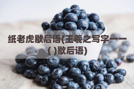 纸老虎歇后语(王羲之写字一一( )歇后语)