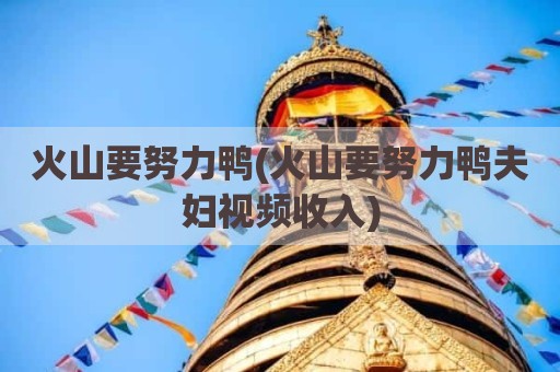 火山要努力鸭(火山要努力鸭夫妇视频收入)