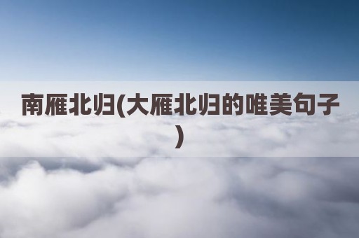 南雁北归(大雁北归的唯美句子)