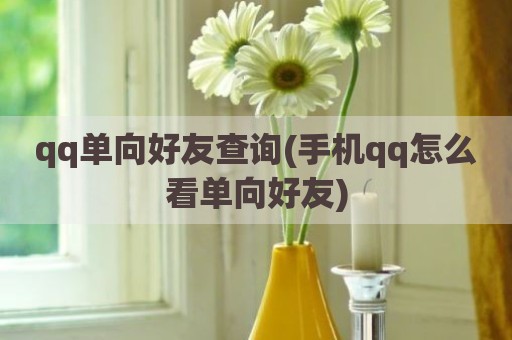 qq单向好友查询(手机qq怎么看单向好友)