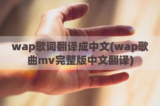 wap歌词翻译成中文(wap歌曲mv完整版中文翻译)