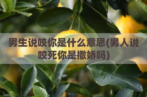 男生说咬你是什么意思(男人说咬死你是撒娇吗)