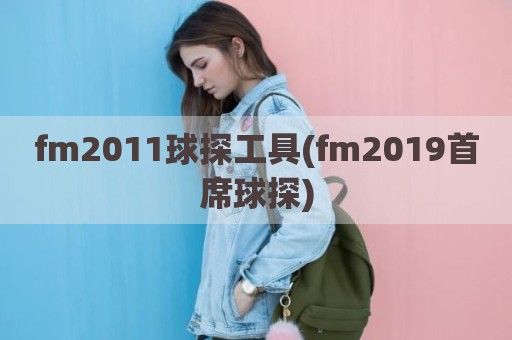 fm2011球探工具(fm2019首席球探)