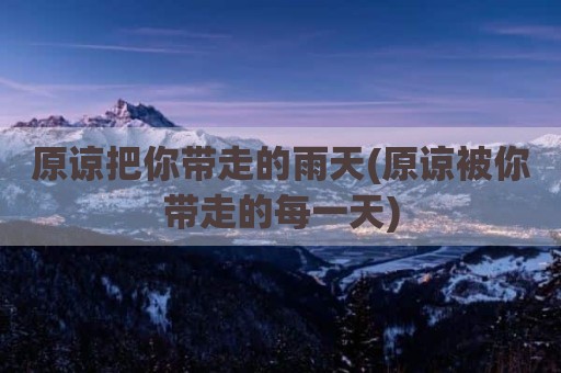 原谅把你带走的雨天(原谅被你带走的每一天)