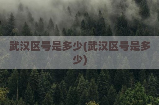武汉区号是多少(武汉区号是多少)