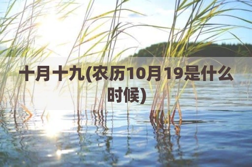 十月十九(农历10月19是什么时候)