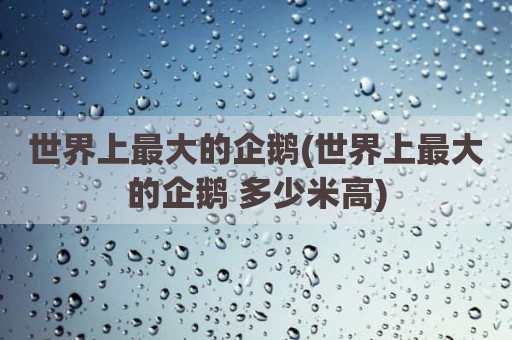 世界上最大的企鹅(世界上最大的企鹅 多少米高)