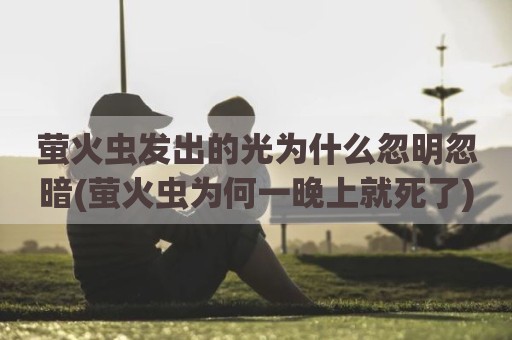 萤火虫发出的光为什么忽明忽暗(萤火虫为何一晚上就死了)