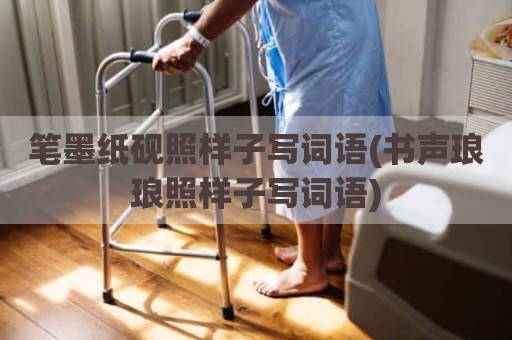 笔墨纸砚照样子写词语(书声琅琅照样子写词语)