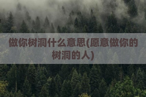 做你树洞什么意思(愿意做你的树洞的人)