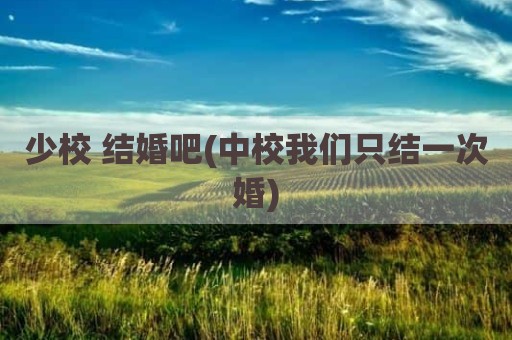 少校 结婚吧(中校我们只结一次婚)