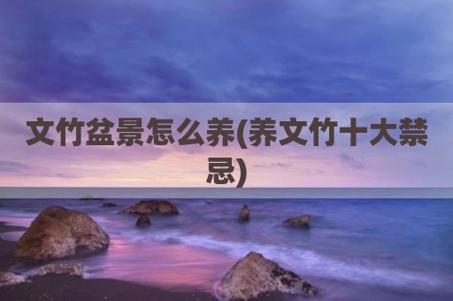 文竹盆景怎么养(养文竹十大禁忌)
