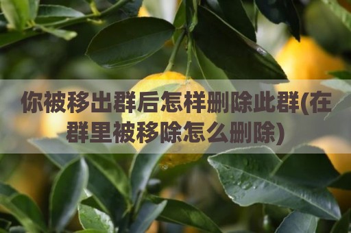 你被移出群后怎样删除此群(在群里被移除怎么删除)