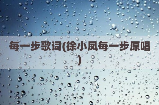 每一步歌词(徐小凤每一步原唱)