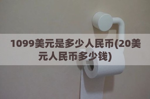 1099美元是多少人民币(20美元人民币多少钱)