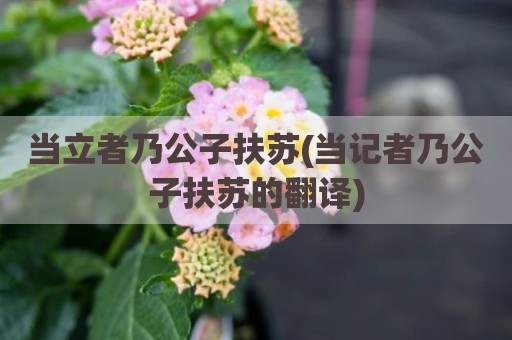 当立者乃公子扶苏(当记者乃公子扶苏的翻译)