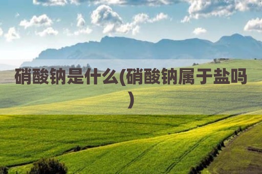 硝酸钠是什么(硝酸钠属于盐吗)