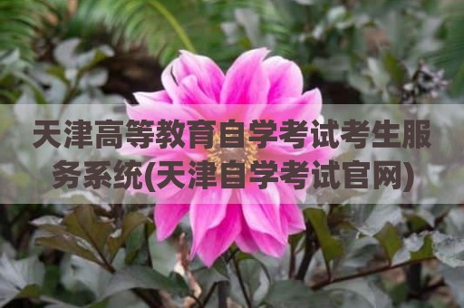 天津高等教育自学考试考生服务系统(天津自学考试官网)