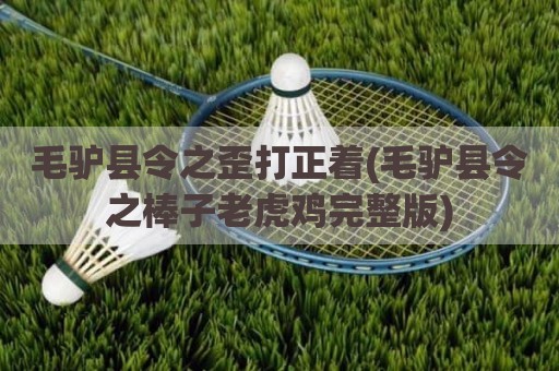 毛驴县令之歪打正着(毛驴县令之棒子老虎鸡完整版)