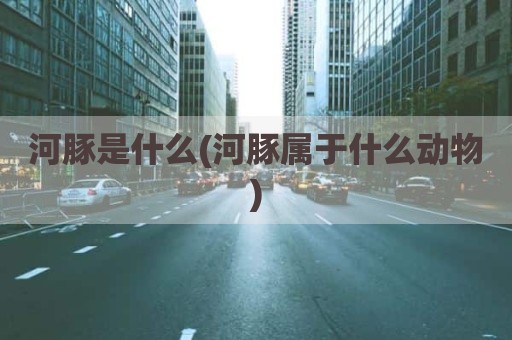 河豚是什么(河豚属于什么动物)