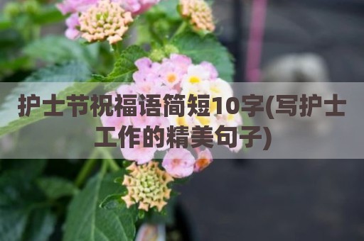 护士节祝福语简短10字(写护士工作的精美句子)