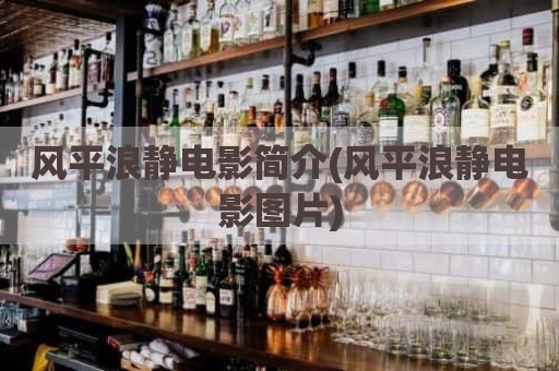 风平浪静电影简介(风平浪静电影图片)