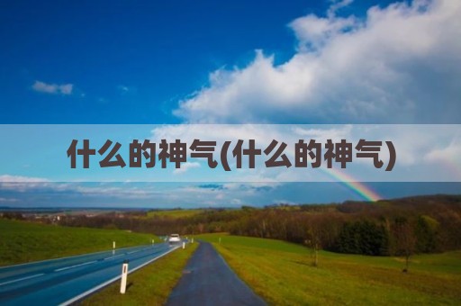 什么的神气(什么的神气)