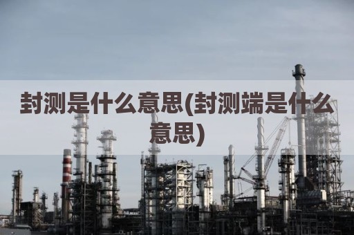 封测是什么意思(封测端是什么意思)
