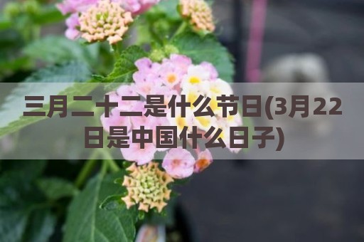 三月二十二是什么节日(3月22日是中国什么日子)