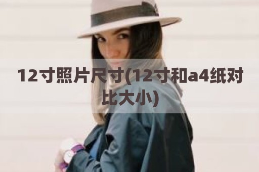 12寸照片尺寸(12寸和a4纸对比大小)