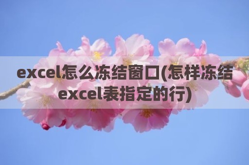 excel怎么冻结窗口(怎样冻结excel表指定的行)